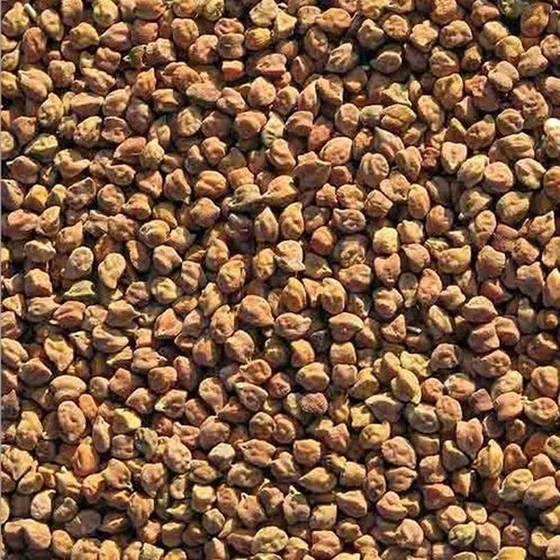 desi-kala-chana-1.webp
