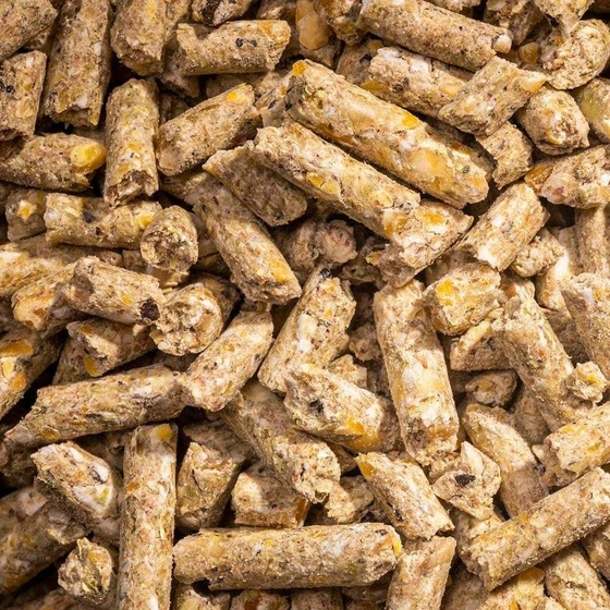 cattle-pellets-feed-2.webp