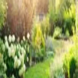 Garden Lawn Maintenance, Type of property Commercial