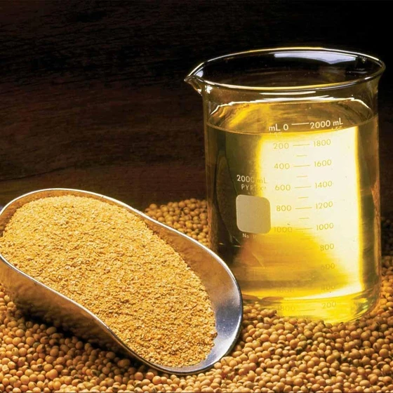Refined Soyabean Oil — Natural and delicious