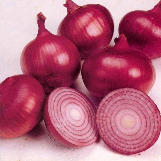 Organic Fresh Onion — Vitamin C and dietary fibers