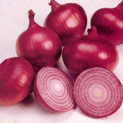 Organic Fresh Onion