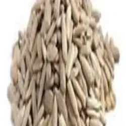 Bidhara Lakdi - Vidhara - Argyreia Nervosa, Packaging Type Bag