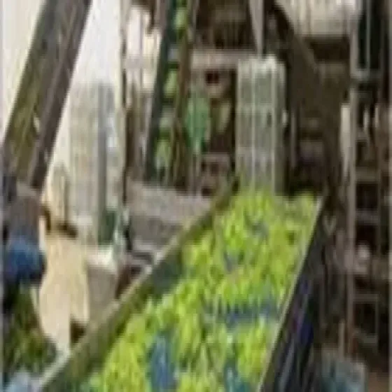 manufacturers-vegetable-processing-plants-mIPW5HhB.webp