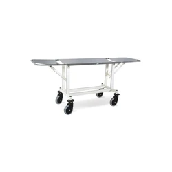 Ms Stretcher Trolley