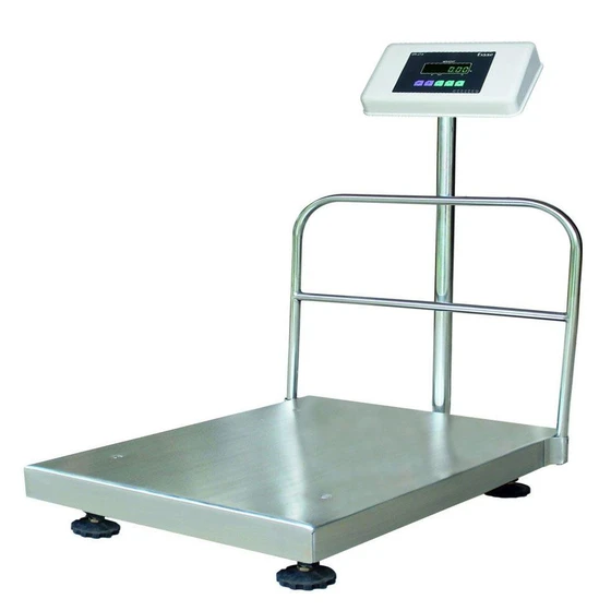 mild-steel-platform-scaler-1.webp