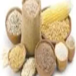 Organic Barley Grain, Speciality Organic