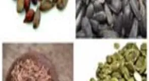 Foxnut Phool, Flavor Plain