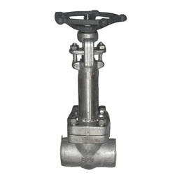 Cryogenic Gate Valve