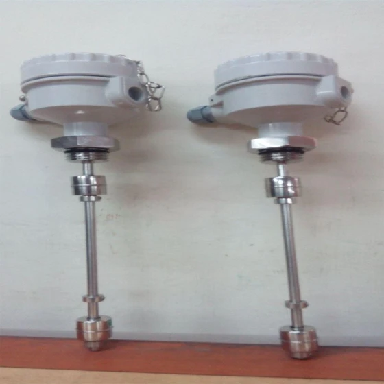 Mounting Level Switchs — Vertical and throw wall