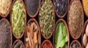 Mustard Seeds, Mustard Seed Type Available Yellow