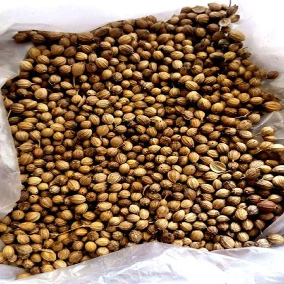 Brown Coriander Seed — Vegetarian, dried, powder