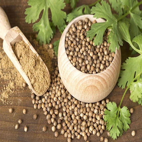 brown-coriander-seed-2.webp