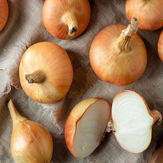 fresh-raw-onion-2.webp