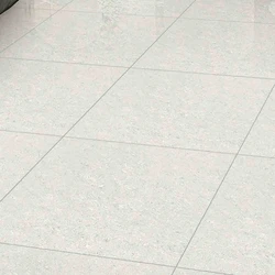 Polished Ceramic Floor Tiles