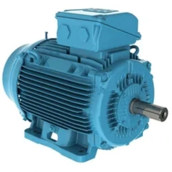 Cast Iron Motor