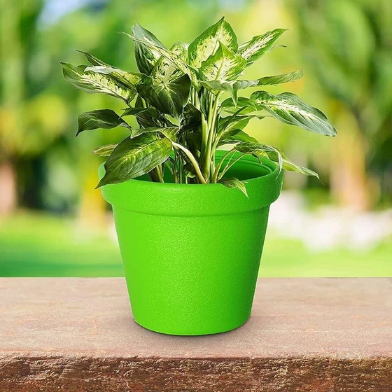 Round Crown Pot — Durable and long lasting material