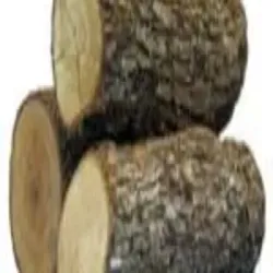 Red Gum Eucalyputs Camaldulensis Seed, Shape Round