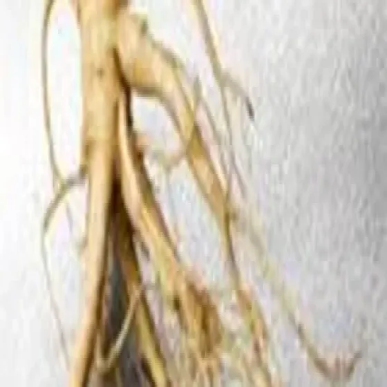 manufacturers-herbs-roots-OK4Xv2Iv.webp