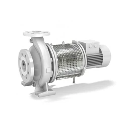 Thermal Oil Pump