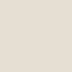 Plain Vitrified Ivory Tiles
