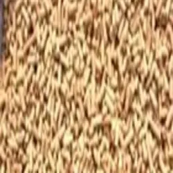 Guar Korma, Moisture 5
