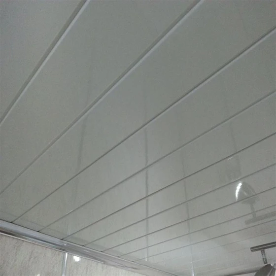 plastic-ceiling-cladding-2.webp
