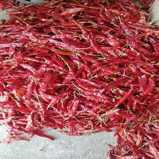 natural-red-chilli-2.webp