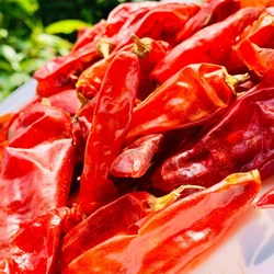 Natural Red Chilli, Chemical free, chutneys use