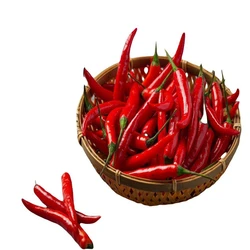 Fresh Red Chilli, Best flavor, always clean red chilli