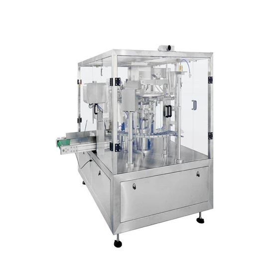 automatic-dry-mango-fruits-packing-machine-1.webp