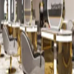 Hair Salon Chairs gi 1, Chair Material Genuine Leather