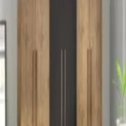 Wall Mounted Almirah, UsageApplication Home