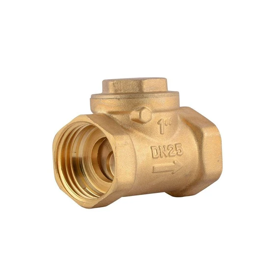 cast-iron-brass-non-return-valve-1.webp