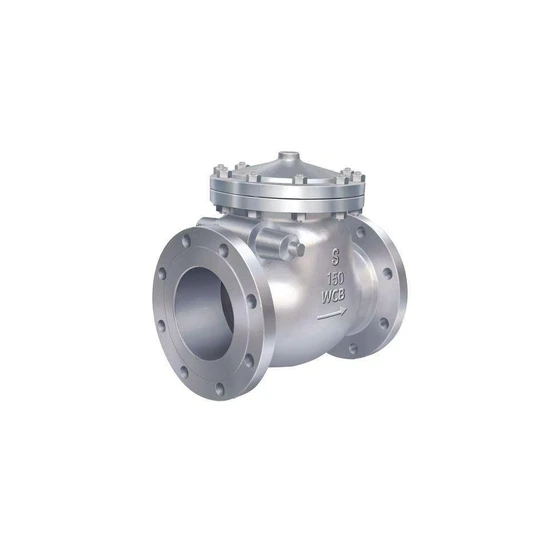 ci-flange-none-return-valve-2.webp