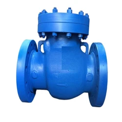 CI Flange None Return Valve, 2 inch valve size