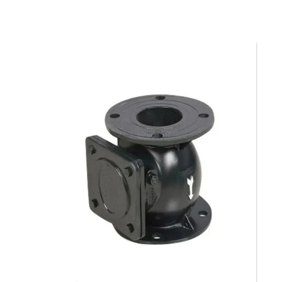 2.5-inch-cast-iron-reflux-nrv-1.webp