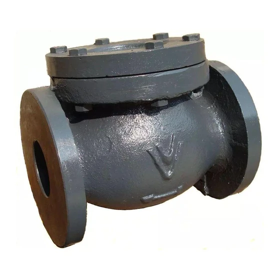2.5-inch-cast-iron-reflux-nrv-2.webp