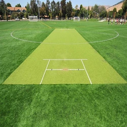 Faux Lawn Synthetic Grass Cricket Pitch, Red color