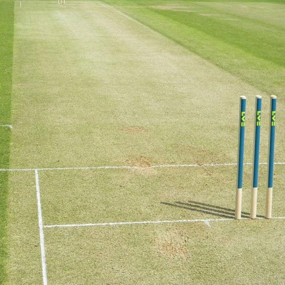 cricket-pitch-turf-swing-bowling-2.webp