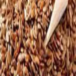 Drumstick Seeds Pkm 1, Shelf Life 2 Years