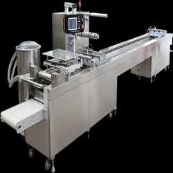 Pvc Blister Packing Machine, Metal finishing