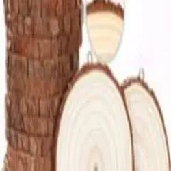 12 Feet Bamboo Poles, UsageApplication Used For Construction