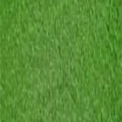 Mexican Natural Grass, Purpose All Applicable
