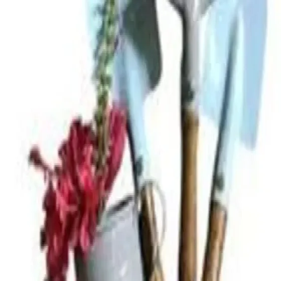 manufacturers-garden-equipments-DEmMRJPO.webp