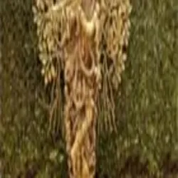 Musical Man Statue, Material Brass