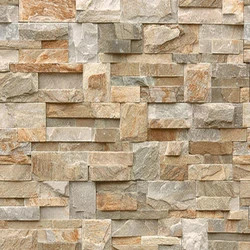 Elevation Tiles Interior — 12 mm Mulitcolored 4x6 inch