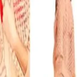 Handloom Dress Materials, I Deal In New Only