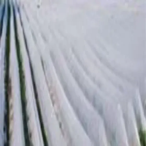 manufacturers-agricultural-ground-crop-covers-Zsn7XcVc.webp