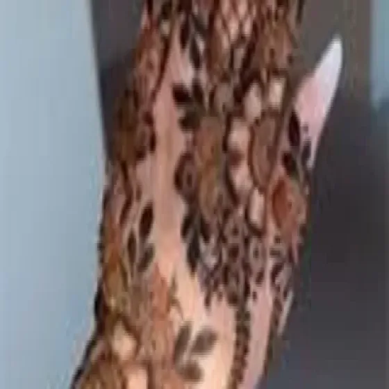 manufacturers-henna-mehndi-qsPDOOlq.webp